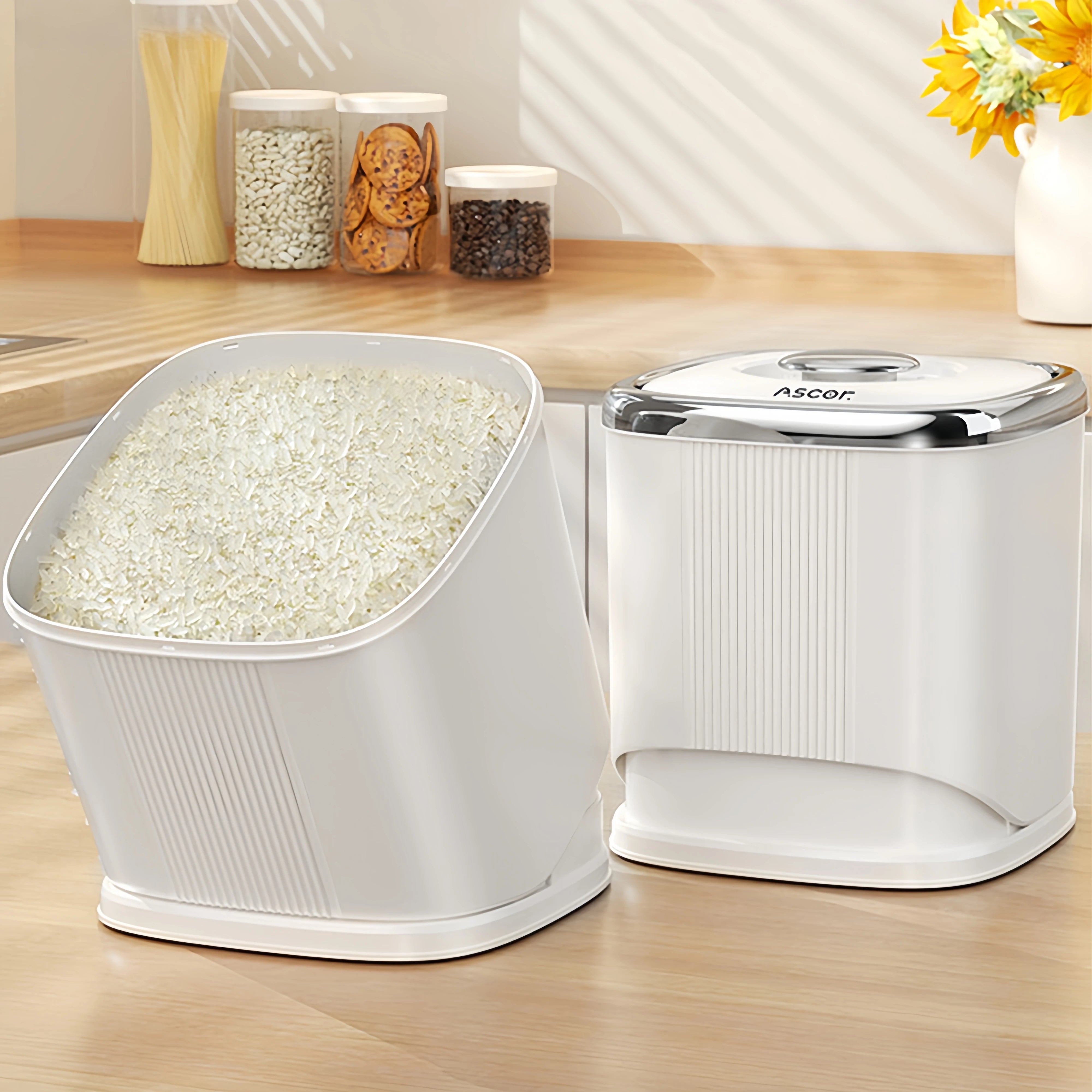 Rice Storage Container